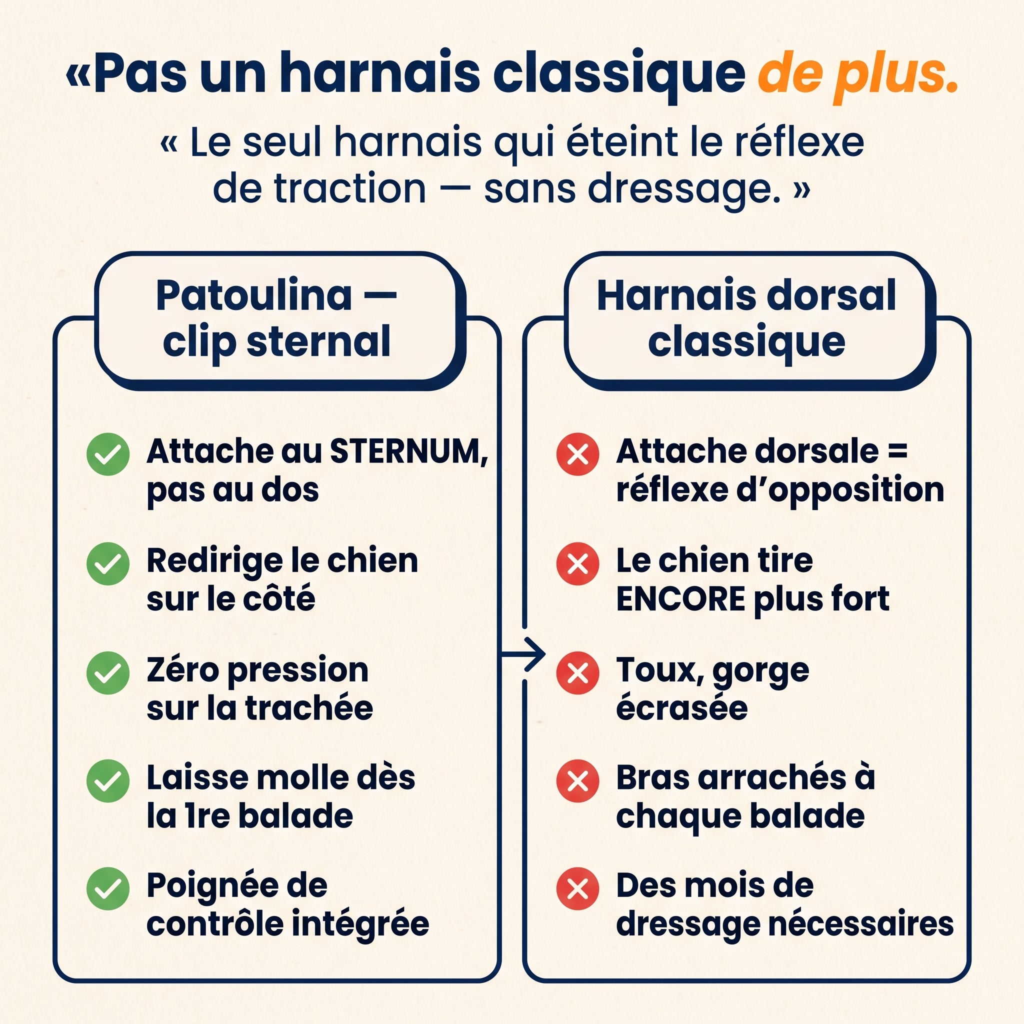 Infographie : le mécanisme de Redirection Sternale du harnais Patoulina