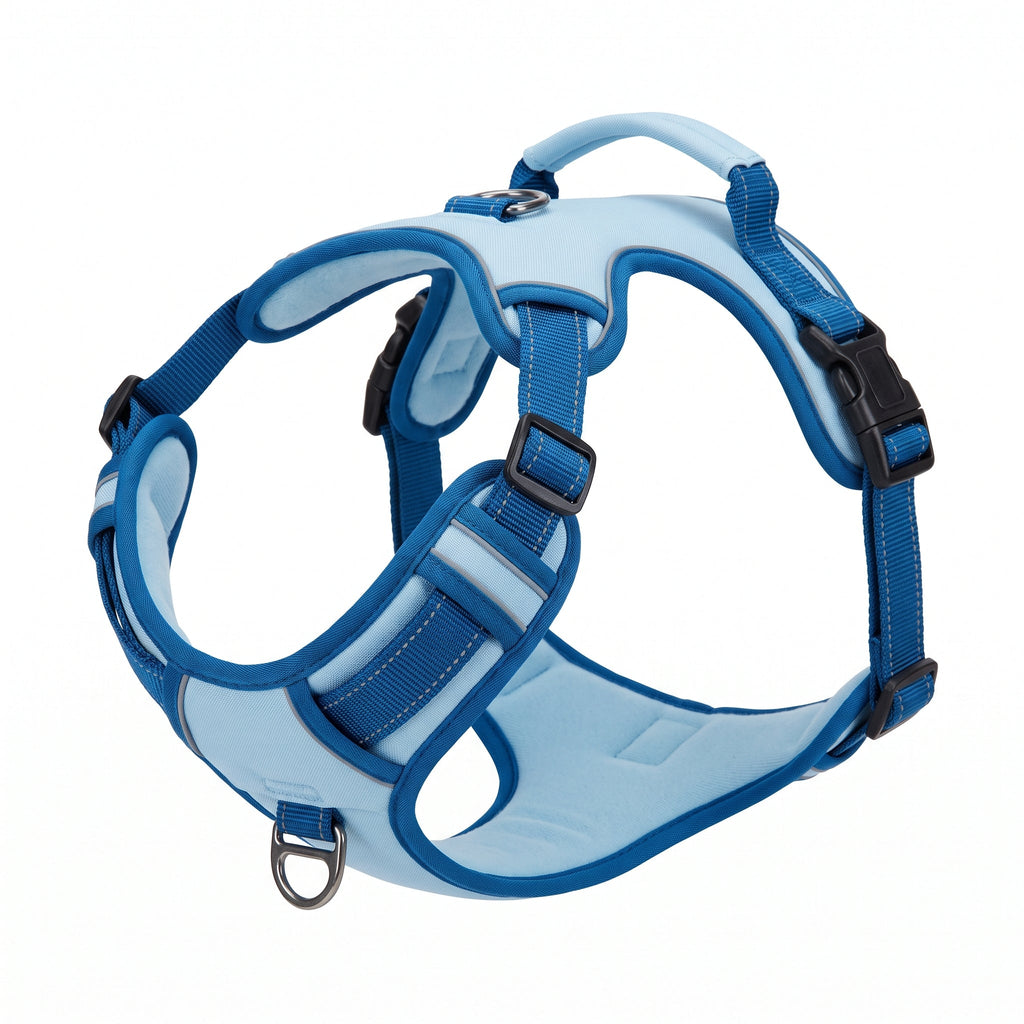 Harnais anti-traction Patoulina bleu glacier — clip sternal et bandes réfléchissantes