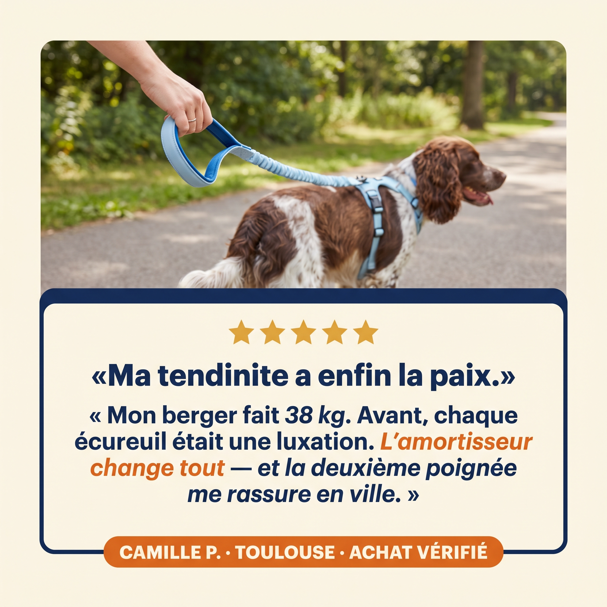 Avis clients sur la laisse élastique anti-choc Patoulina