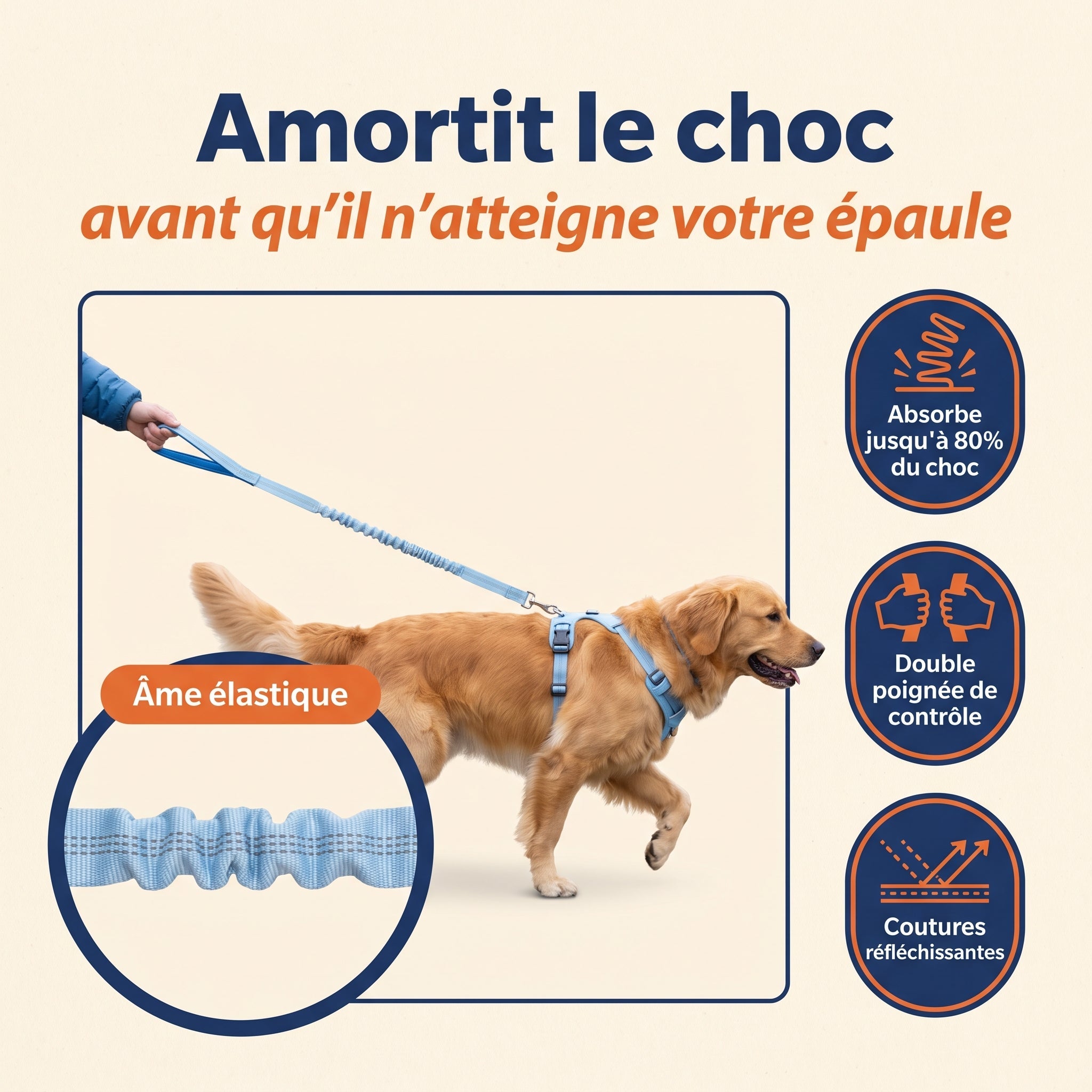 Infographie : l'âme élastique qui absorbe le choc avant votre épaule