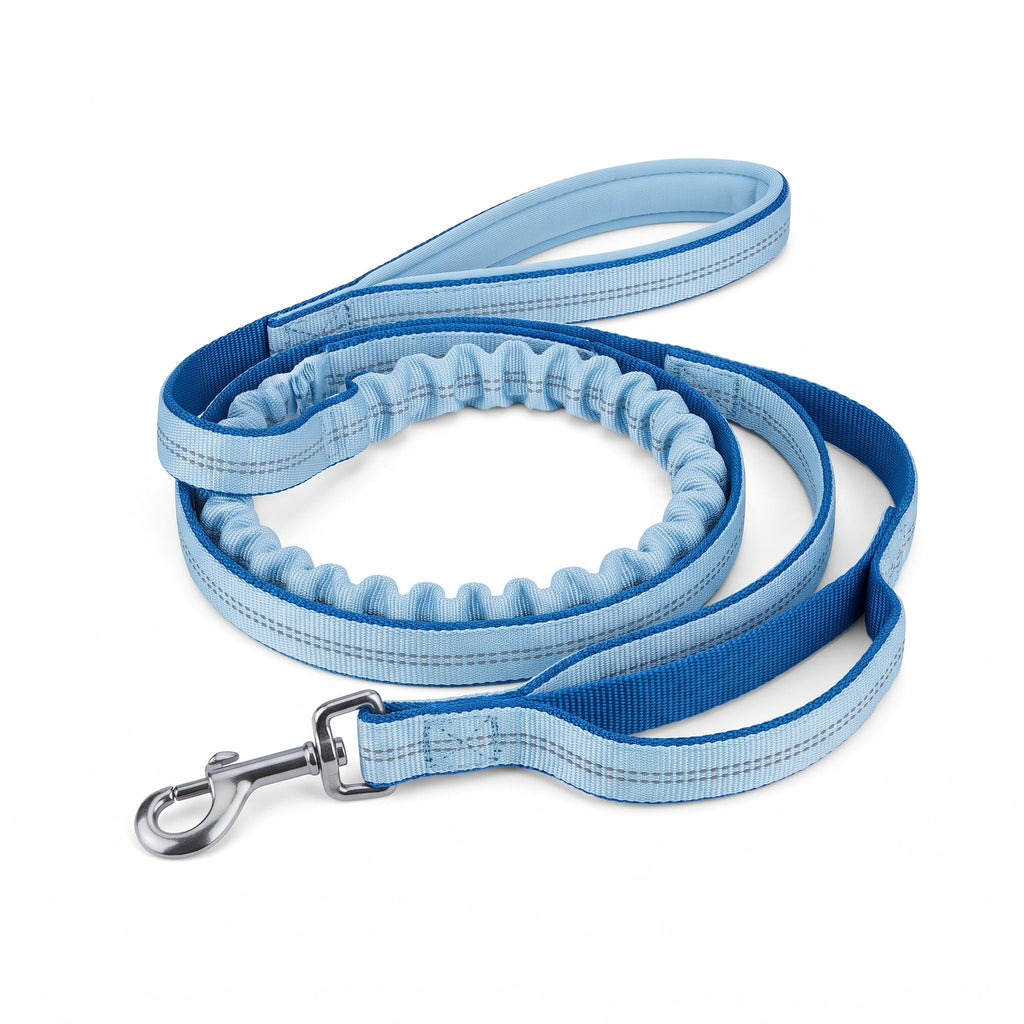 Laisse élastique anti-choc Patoulina bleu glacier — 1,50 m double poignée