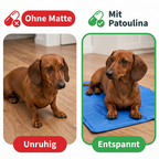 Kühlmatte in fünf Größen