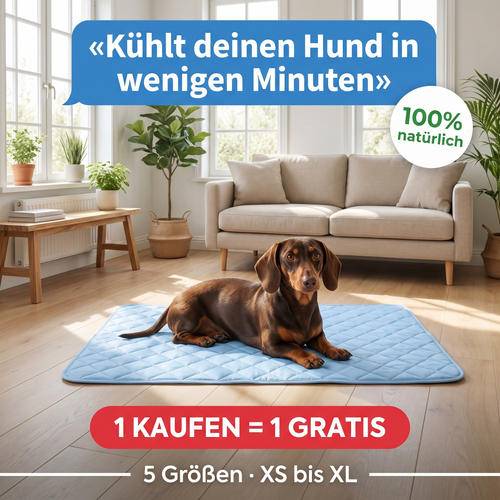 Hund liegt entspannt auf der Kühlmatte