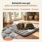 Patoulina chat — Rafraîchit sans gel (textile breveté)