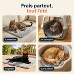 Patoulina chat — Frais partout tout l'été (usages)
